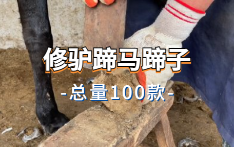 【100款】修驴蹄马蹄子解压视频素材-零八素材网