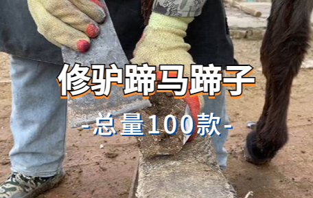 【100款】修驴蹄马蹄子解压视频素材-零八素材网