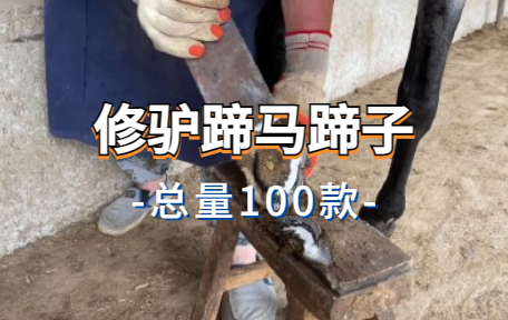 【100款】修驴蹄马蹄子解压视频素材-零八素材网