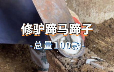 【100款】修驴蹄马蹄子解压视频素材-零八素材网