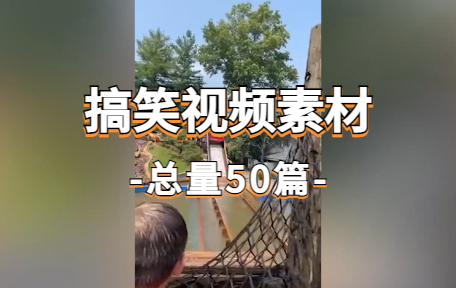 【50款】国外搞笑视频素材-零八素材网