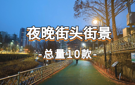 【10款】夜晚街头街景视频素材-零八素材网